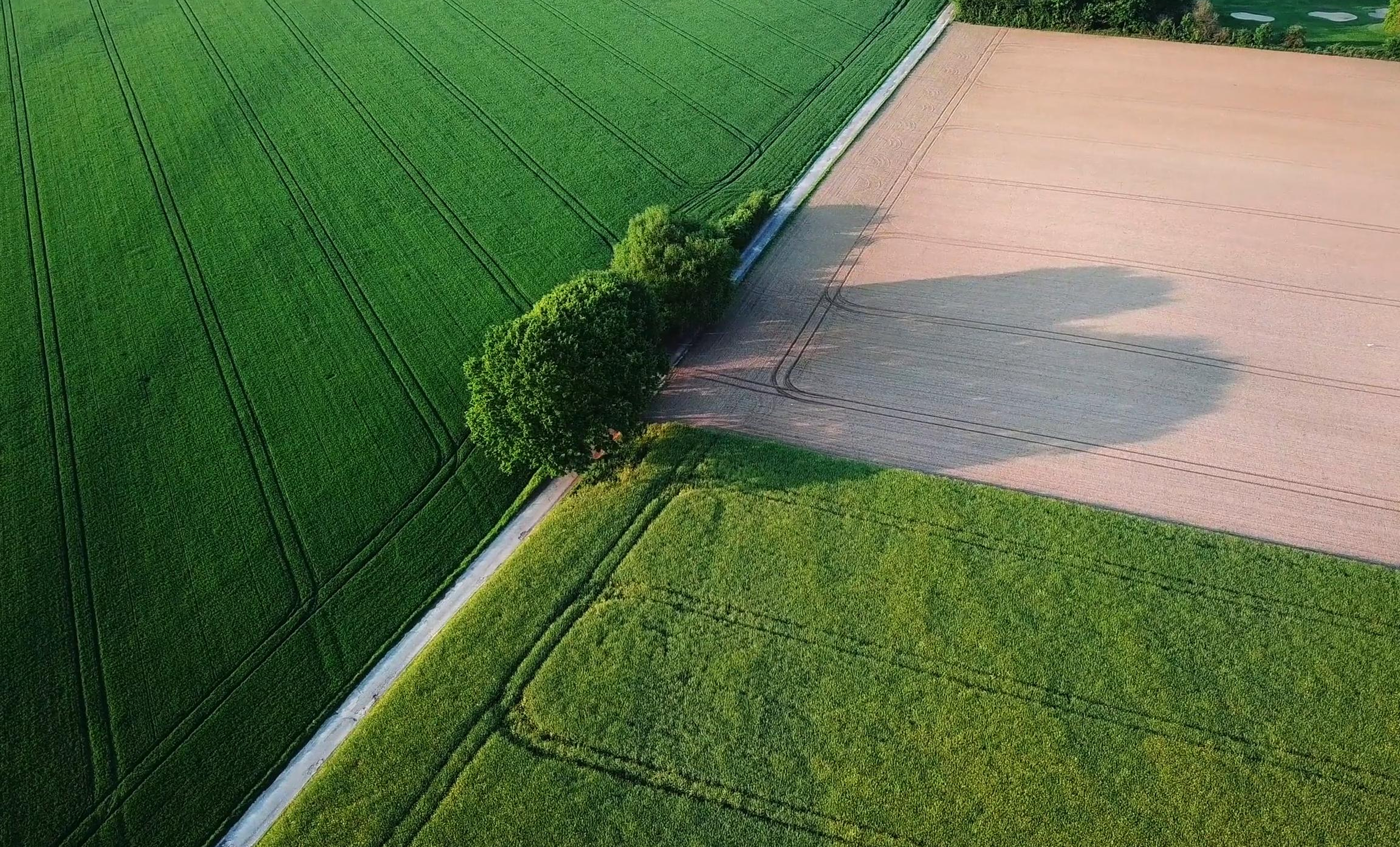 Aerial view of Nigerian farmland